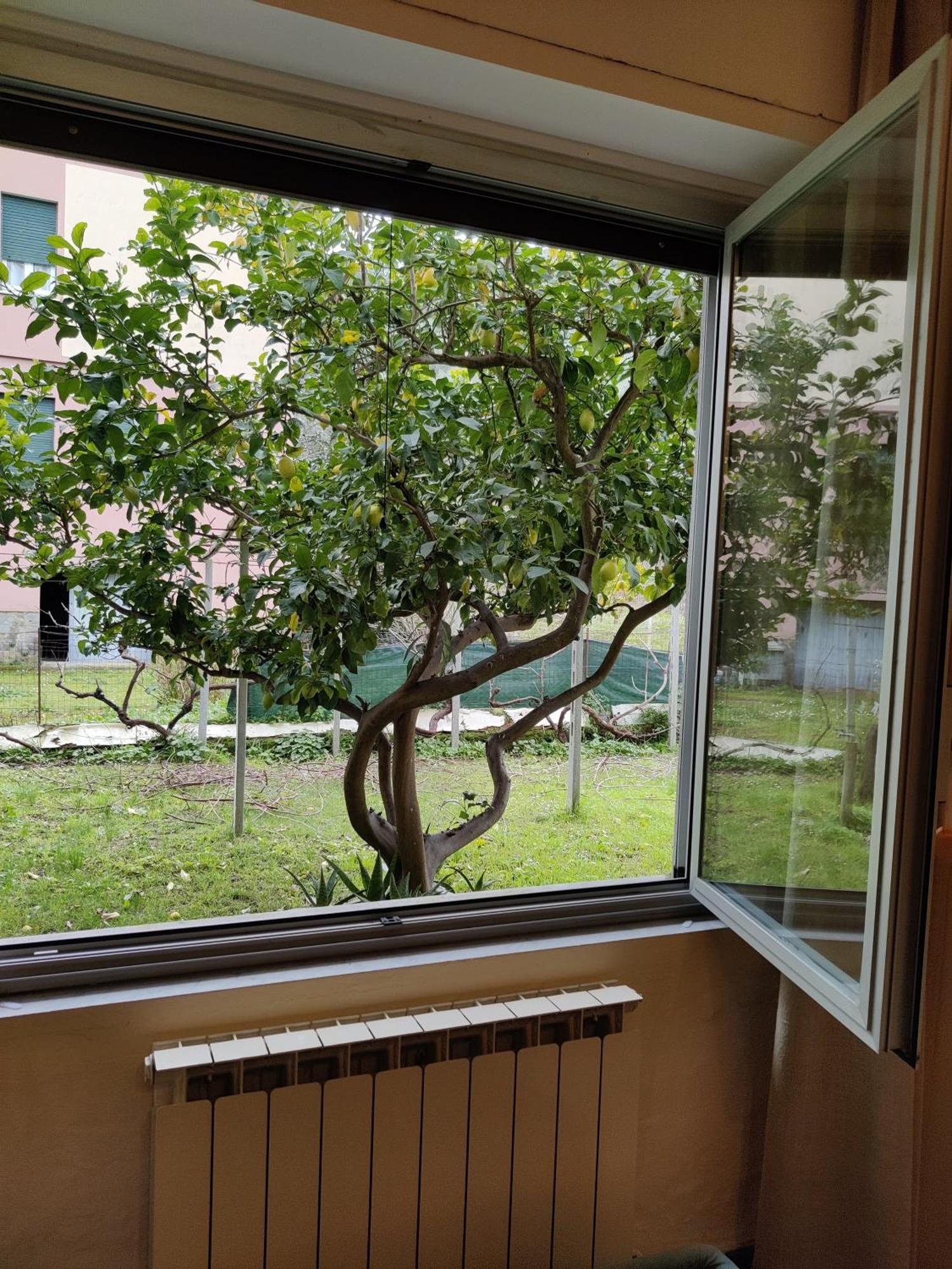 Centrale Nel Verde Int 1 Sestri Levante Zewnętrze zdjęcie