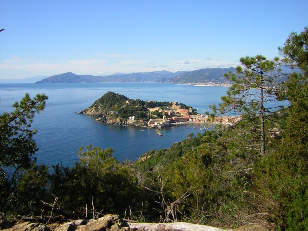 Centrale Nel Verde Int 1 Sestri Levante Zewnętrze zdjęcie